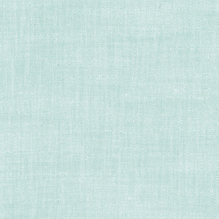Athlete River by Carole Fabric Celadon 60% Cotton, 40% Polyester India Passes 50,000 Double Rubs Wyzenbeek Horizontal: 0 and Vertical: 0 55 - Fabric Carolina -