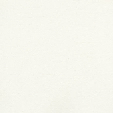 Bane Pearl by Carole Fabric With Grace 100% Polyester Hybrid FR Mexico 30,000 WYZENBEEK DOUBLE RUBS None 54"  - Fabric Carolina -