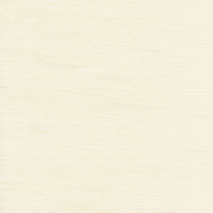 Stay Here Ivory by Carole Fabric Birch 100% Polyester China N/A Horizontal: 0 and Vertical: 0 55 - Fabric Carolina -