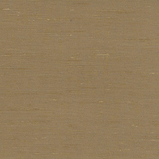 Lydia Bisque by Carole Fabric Lydia,Lydia II 100% Polyester Fr India N/A Horizontal: None and Vertical: None 54" - Fabric Carolina -