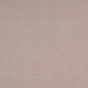 Armadillo Mineral by Carole Fabric