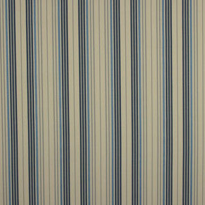 Overhead Dress Blue by Carole Fabric