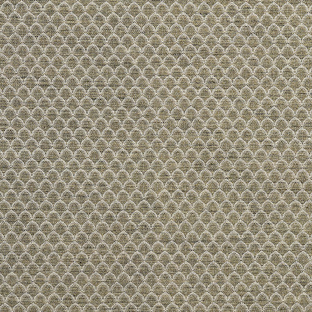 Tip The Scales Fern by Carole Fabric Form & Texture 53% Cotton, 47% Polyester 35,000 Martindale Circular Rubs 1" V, 3/4" H 54" - Fabric Carolina -