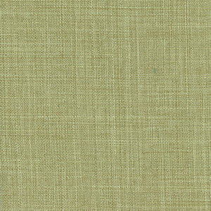 Sightsee Olive Tree by Carole Fabric