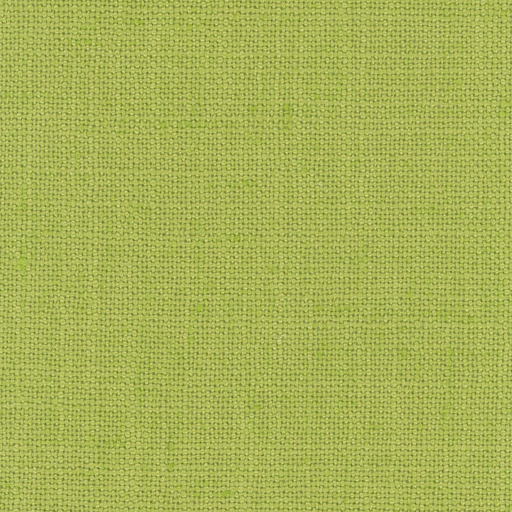 Defense Aloe by Carole Fabric Celadon 95% Polyester, 5% Linen China Passes 110,000 Double Rubs Wyzenbeek Horizontal: 0 and Vertical: 0 57 - Fabric Carolina -