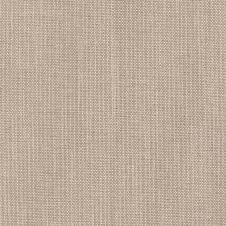 Liberty Froth by Carole Fabric Liberty II 100%  Polyester India  None 54"  - Fabric Carolina -