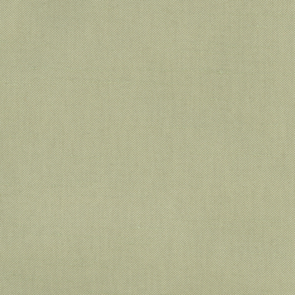 Fleeting Basil by Carole Fabric Royale 100% Polyester India Passes 50,000 Double Rubs Wyzenbeek Horizontal: 0 and Vertical: 0 54 - Fabric Carolina -