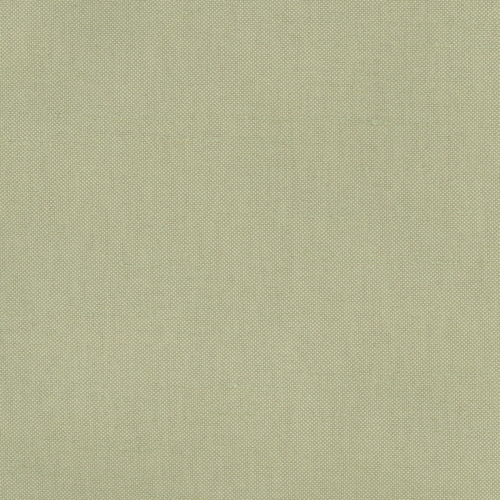 Fleeting Basil by Carole Fabric Royale 100% Polyester India Passes 50,000 Double Rubs Wyzenbeek Horizontal: 0 and Vertical: 0 54 - Fabric Carolina -