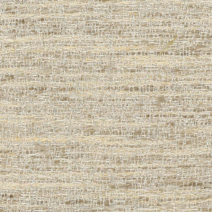 Pop Fly Ivory by Carole Fabric Texture Theory 100% Polyester India N/A Horizontal: 0 and Vertical: 0 57 - Fabric Carolina -