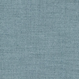 Resourceful Denim by Carole Fabric