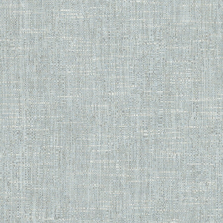 Hard Knocks Cloud by Carole Fabric Cadet 69% Polyester, 31% Cotton India Passes 30,000 Double Rubs Wyzenbeek Horizontal: None and Vertical: None 555" - Fabric Carolina -