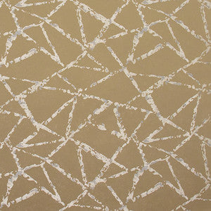 Into Focus Coffee by Carole Fabric