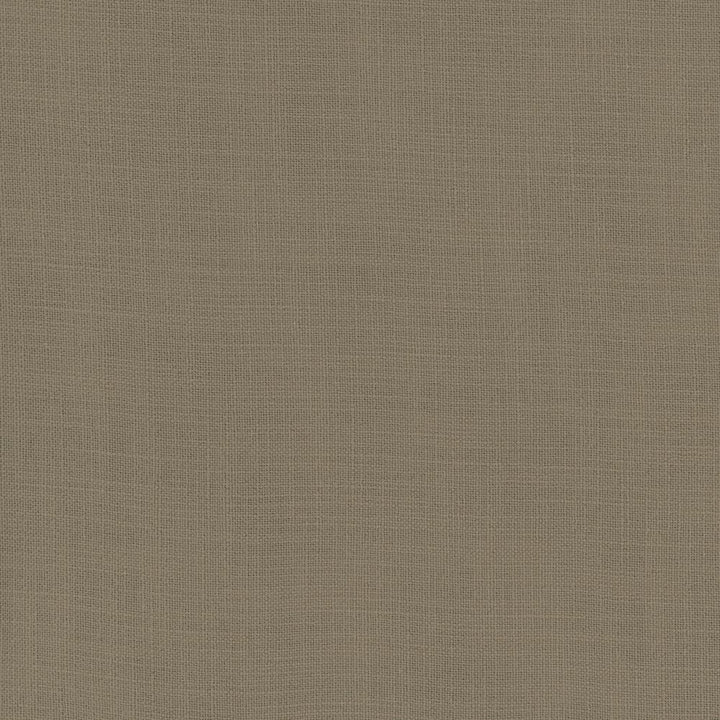 Fundamental Driftwood by Carole Fabric Fundamental 100% Polyester Turkey Passes 20,000 Double Rubs Wyzenbeek Horizontal: 0 and Vertical: 0 54 - Fabric Carolina -