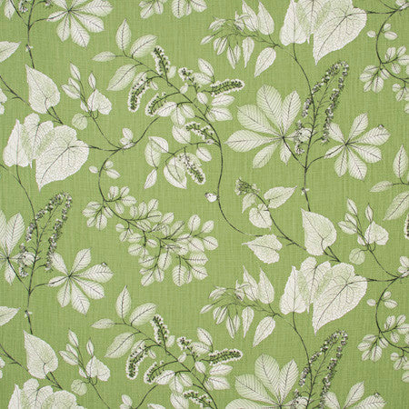 Belong Together Grass by Carole Designer Fabric Lemongrass 100% Cotton-SSR Printed & Finished in USA Passes 15,000 Double Rubs Wyzenbeek Horizontal: 27" D and Vertical: 27" V 54" - Swanky Fabrics -