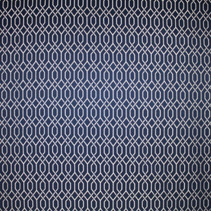 Major Ocean by Carole Fabric