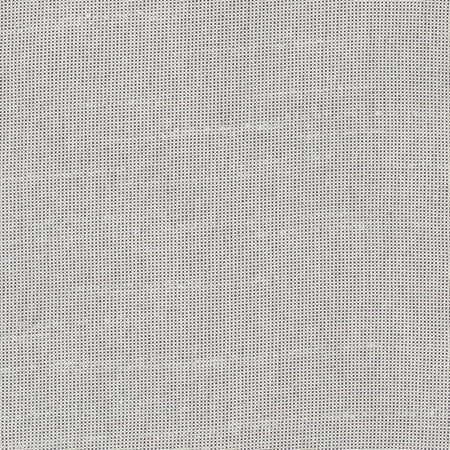 Fleeting Flint by Carole Fabric Royale 100% Polyester India  None 54"  - Fabric Carolina -