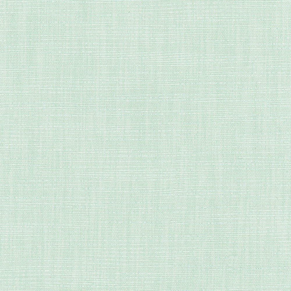 Athlete Seafoam by Carole Fabric Celadon 60% Cotton, 40% Polyester India Passes 50,000 Double Rubs Wyzenbeek Horizontal: 0 and Vertical: 0 55 - Fabric Carolina -