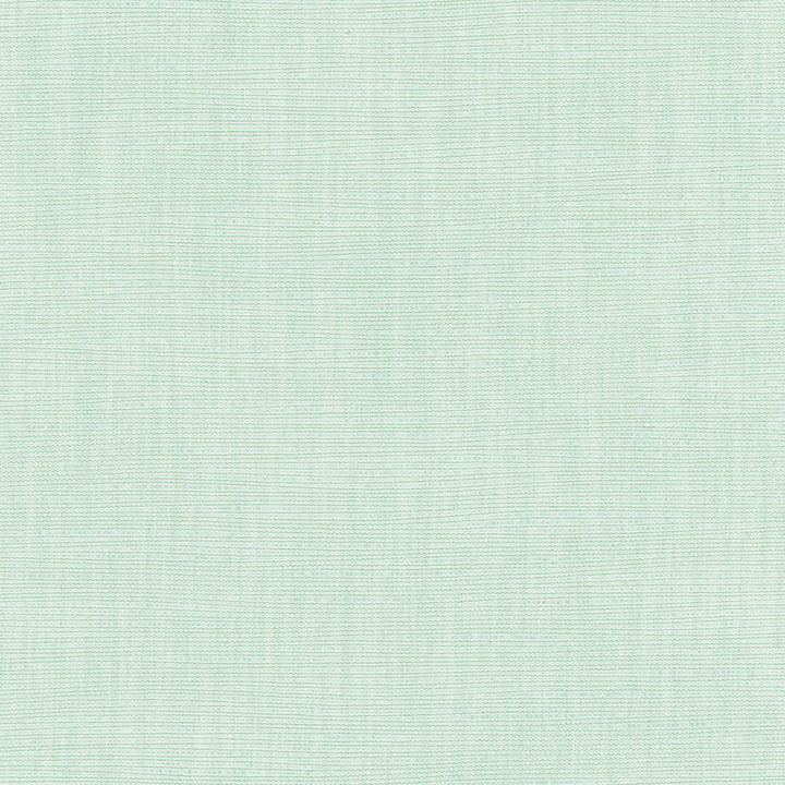 Athlete Seafoam by Carole Fabric Celadon 60% Cotton, 40% Polyester India Passes 50,000 Double Rubs Wyzenbeek Horizontal: 0 and Vertical: 0 55 - Fabric Carolina -