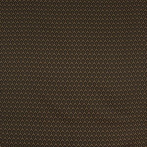 Girls Night Out Onyx by Carole Fabric
