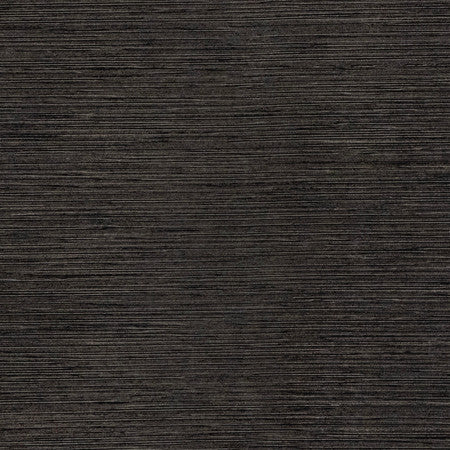 Optimism Charcoal by Carole Fabric Synchrony,Power Play 100% IFR Polyester 5,000 Wyzenbeek Double Rubs None 54" - Fabric Carolina -