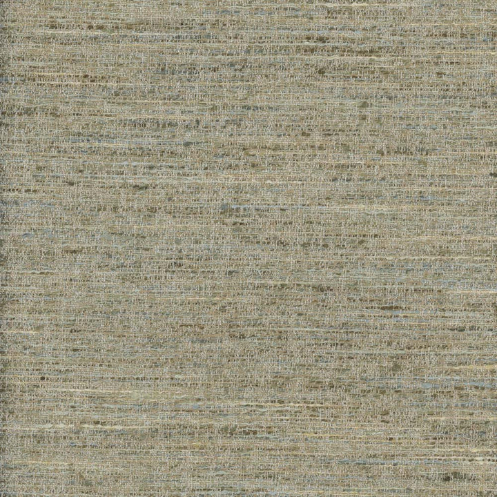 Ritual Jade by Carole Fabric Texture Theory 100% Polyester India Passes 30,000 Double Rubs Wyzenbeek Horizontal: 0 and Vertical: 0 56 - Fabric Carolina -
