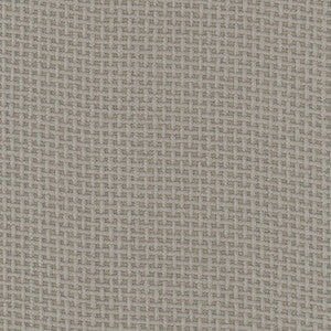 Smashing Charcoal by Carole Fabric