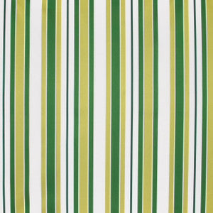 Summer Street New Leaf by Carole Fabric