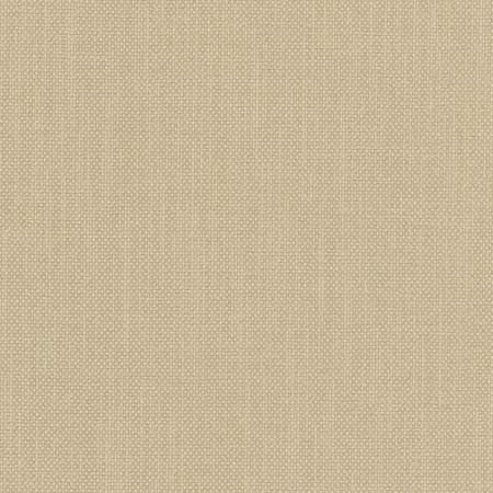 Liberty Harvest by Carole Designer Fabric Liberty II 100% Polyester India 50,000 Wyzenbeek Double Rubs None 54" - Swanky Fabrics -