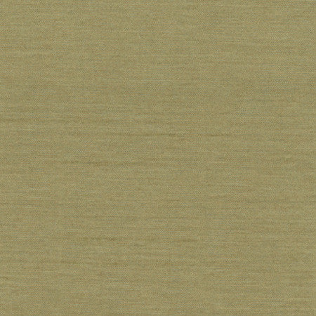 Northwind Sage by Carole Fabric New Northwind III,New Northwind IV 100% Polyester India Passes 9,000 Double Rubs Wyzenbeek </p><p>Repeat: NONE 54" - Fabric Carolina -