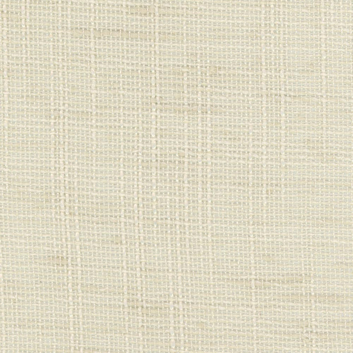 Slow Down Chardonnay by Carole Fabric Come Home 100% Polyester India N/A Horizontal: 0 and Vertical: 0 54 - Fabric Carolina -