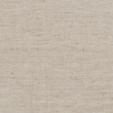 Training Day Stone by Carole Fabric Dove Wing 92% Polyester, 8% Cotton INDIA N/A None 54"  - Fabric Carolina -