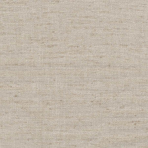 Training Day Stone by Carole Fabric