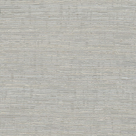 Greater Good Silver by Carole Fabric Alliance 76% Polyester, 14% Cotton, 5% Rayon, 5% Linen India 30,000 Wyzenbeek Double Rubs None 55 1/2""  - Fabric Carolina -