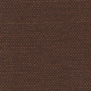 City Kid Chocolate by Carole Fabric