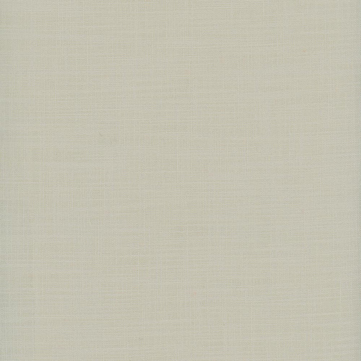 Fundamental Khaki by Carole Fabric Fundamental 100% Polyester Turkey Passes 20,000 Double Rubs Wyzenbeek Horizontal: 0 and Vertical: 0 54 - Fabric Carolina -