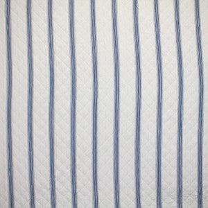 Baby Blues Navy by Carole Fabric