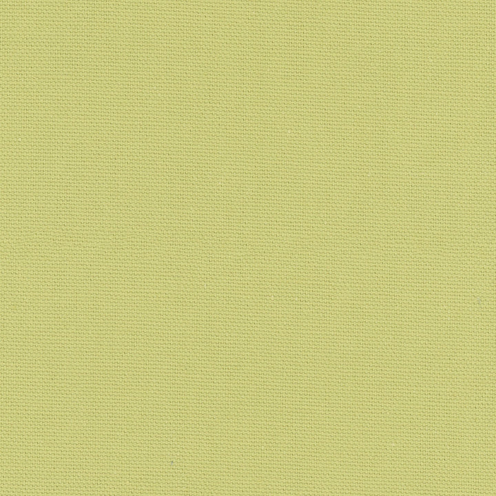 Daydreamer Pear by Carole Fabric Daydreaming 100% Cotton- Soil Release USA Passes 30,000 Double Rubs Wyzenbeek Horizontal: 0 and Vertical: 0 54 - Fabric Carolina -