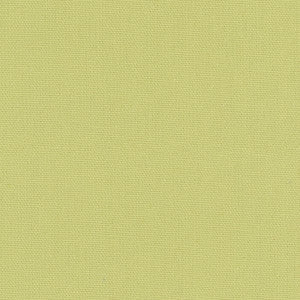 Daydreamer Pear by Carole Fabric