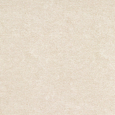 <p>Interior Canvas by Carole Designer Fabric</p><p><strong>Required Minimum Quantity Purchase: 2 yards</strong></p><p>Book: Quiet Luxury</p><p>Content: 72% Polyester, 28% Cotton</p><p>Origin: </p><p>Performance: N/A</p><p>Repeat: None</p><p>Width: 54""</p>