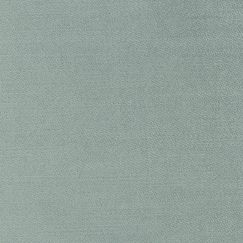 Regal Touch Lichen by Carole Fabric Touch Of Luxury 100% Polyester Turkey 15,000 Wyzenbeek Double Rubs Horizontal: 0 and Vertical: 0 55 - Fabric Carolina -