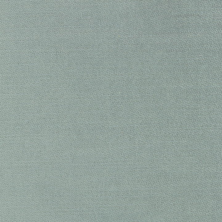 Regal Touch Lichen by Carole Fabric Touch Of Luxury 100% Polyester Turkey 15,000 Wyzenbeek Double Rubs Horizontal: 0 and Vertical: 0 55 - Fabric Carolina -
