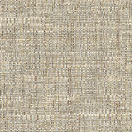 Main Chance Seashore by Carole Designer Fabric Abode 100% Polyester India 30,000 Wyzenbeek Double Rubs None 56" - Swanky Fabrics -