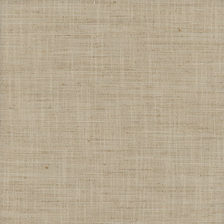 There For You Grain by Carole Designer Fabric Alliance 100% Polyester India None 55"" - Swanky Fabrics -