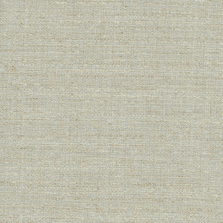 Rock Wall Mineral by Carole Fabric Celadon 83% Polyester, 12% Cotton, 5% Rayon India N/A Horizontal: 0 and Vertical: 0 55 - Fabric Carolina -