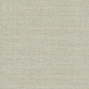 Rock Wall Mineral by Carole Fabric