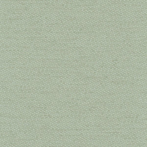 Fact Finder Seafoam by Carole Fabric
