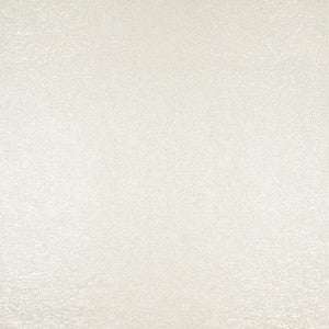 High Speed Silver by Carole Fabric