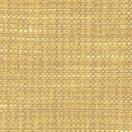 Endurance Sunglow by Carole Fabric Head Start 100% Polyester IFR Hybrid India 75,000 Wyzenbeek Double Rubs None 54"  - Fabric Carolina -