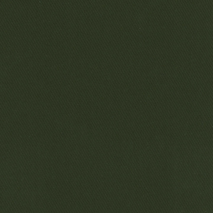 Kirkland Deep Green by Carole Designer Fabric Celadon 100% Cotton Brazil Passes 30,000 Double Rubs Wyzenbeek Horizontal: 0 and Vertical: 0 64 - Swanky Fabrics -