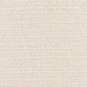 More Texture Parchment by Carole Fabric